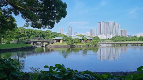 Beautiful-Japanese-traditional-garden-and-pond-with-skyscrapers-Tokyo