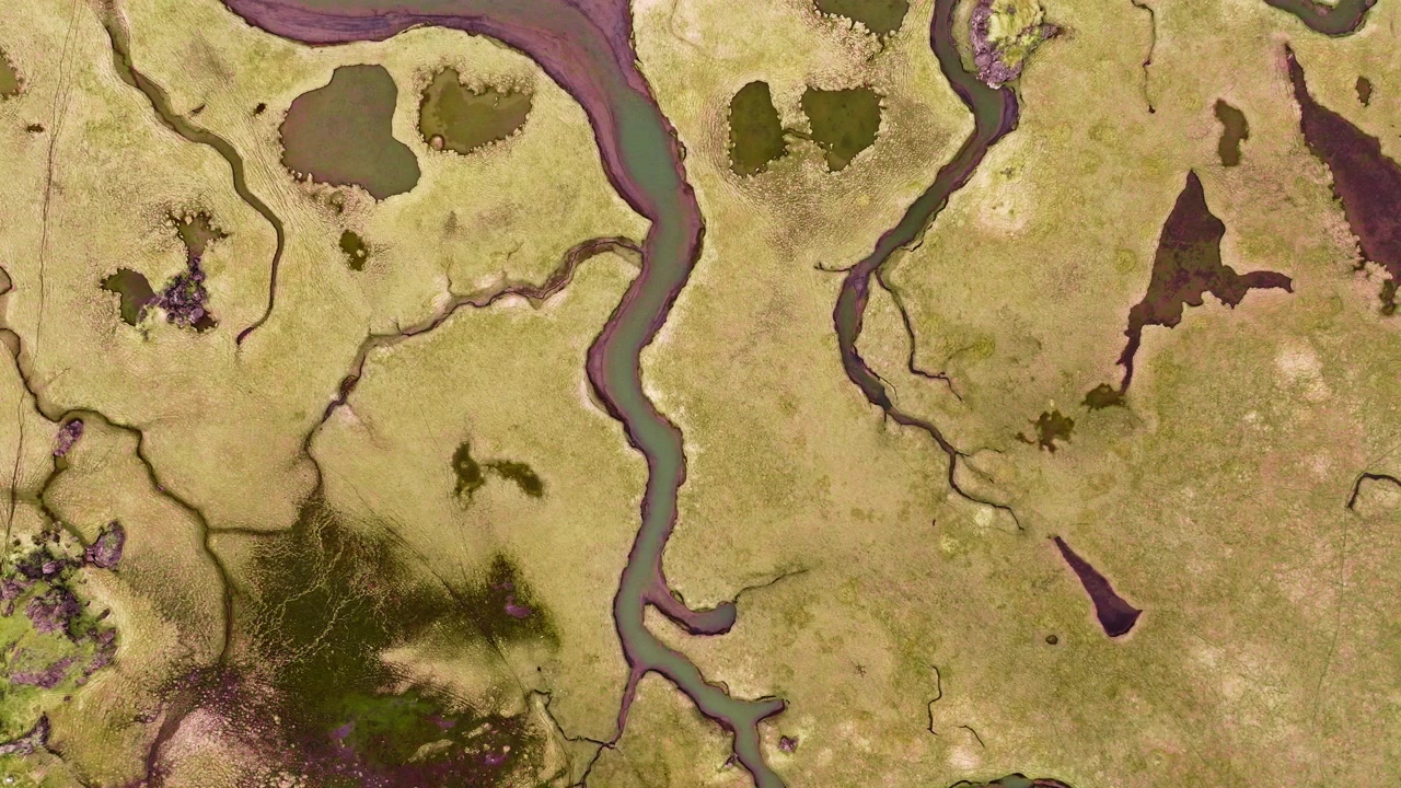 Abstraktní dronový záběr klikatících se řek protínajících zelené tundrové pláně.