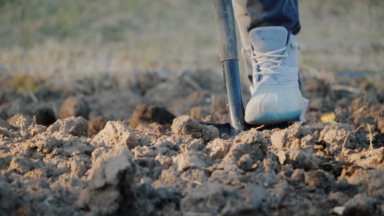 한 남자가 정원에서 땅을 파고 나무를 심기 위한 토양을 준비합니다.