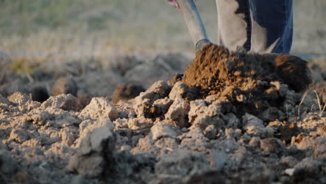 a man digs the ground in his garden preparing the soil for planting trees