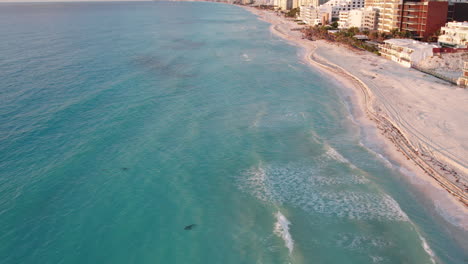 aerial shot of rolling waves in a crystal clear blue ocean in a white sand beach with resorts and hotels in cancun, mexico