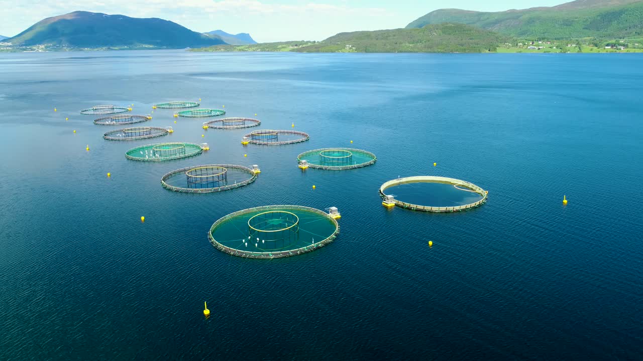 노르웨이에서 연어  ⁇ 시를 하는 공중 촬영