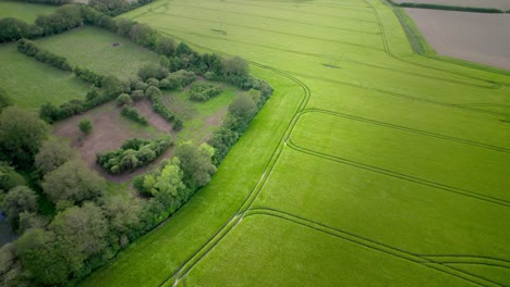 vivid green fields of maine-et-loire region in france