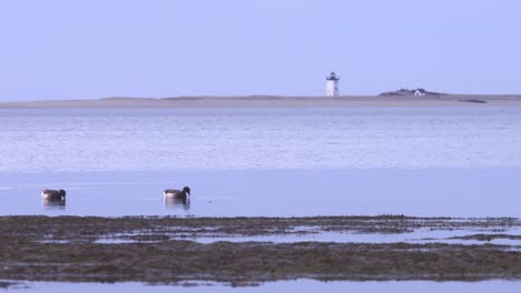 Faro-De-Cabo-Bacalao