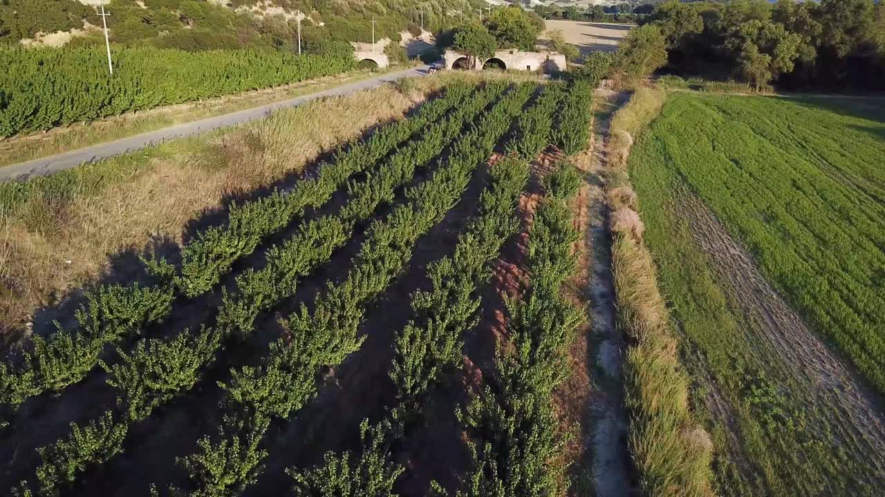 toma de un dron de un campo en basilicata