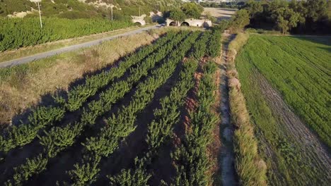 drone-shot-of-a-countryside-in-Basilicata