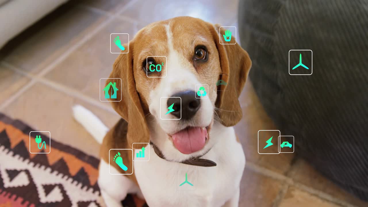 Beagle seduto sul pavimento che ansima mentre delle eco-icone appaiono gradualmente e poi orbitano mostrando le metriche ambientali