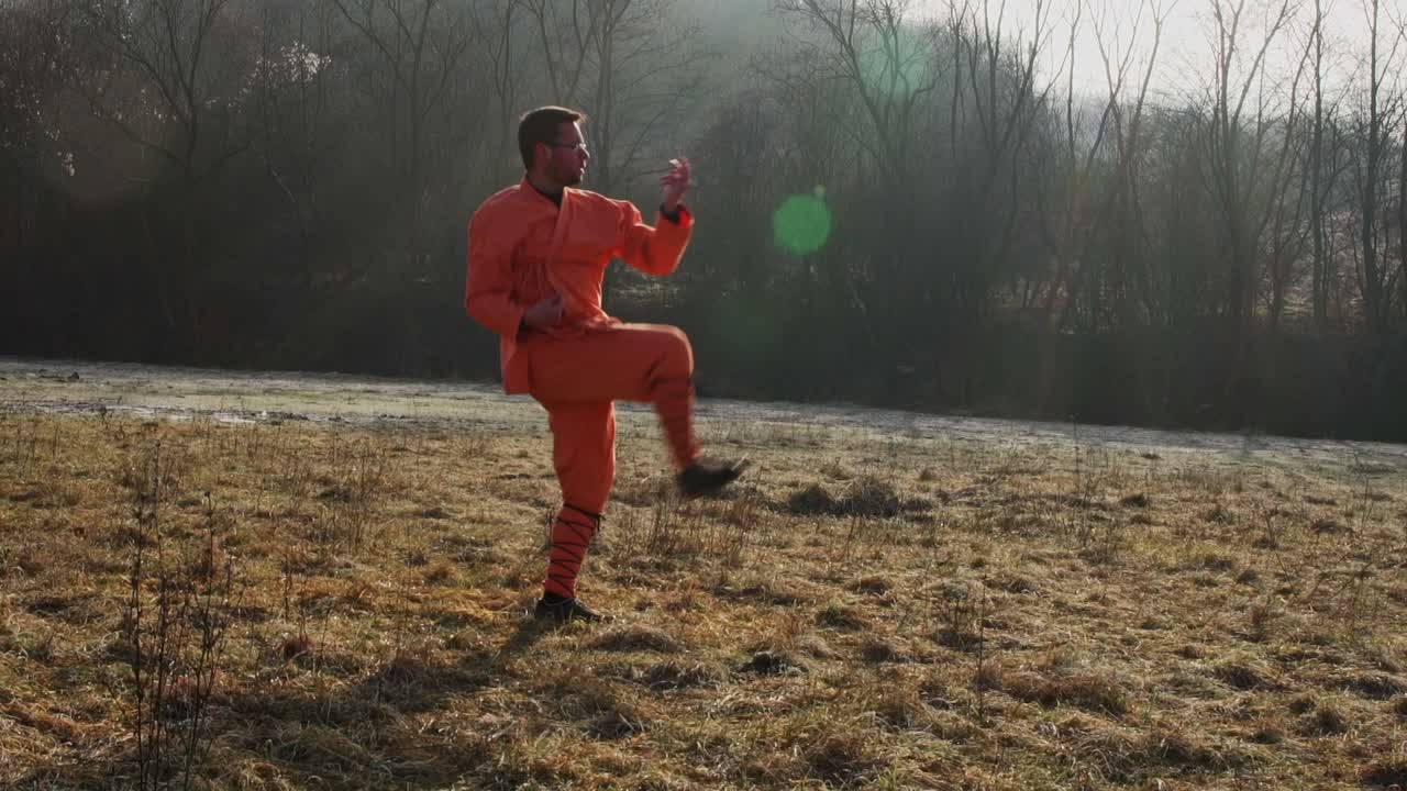 Black Belter Man Practicing Kung Fu Actions In Forest On Sunny Morning. wide shot