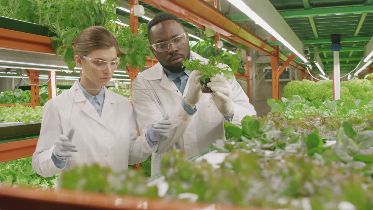 Diverse Botanists Working In Vertical Farm