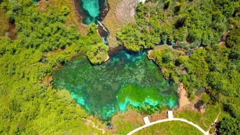 imágenes aéreas de drones en 4k de los manantiales de zelenci