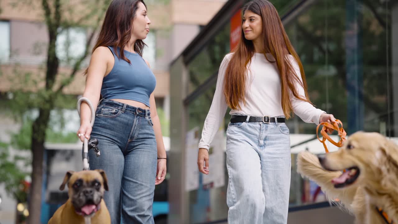 Due giovani donne che parlano mentre portano a spasso i loro cani su un marciapiede cittadino