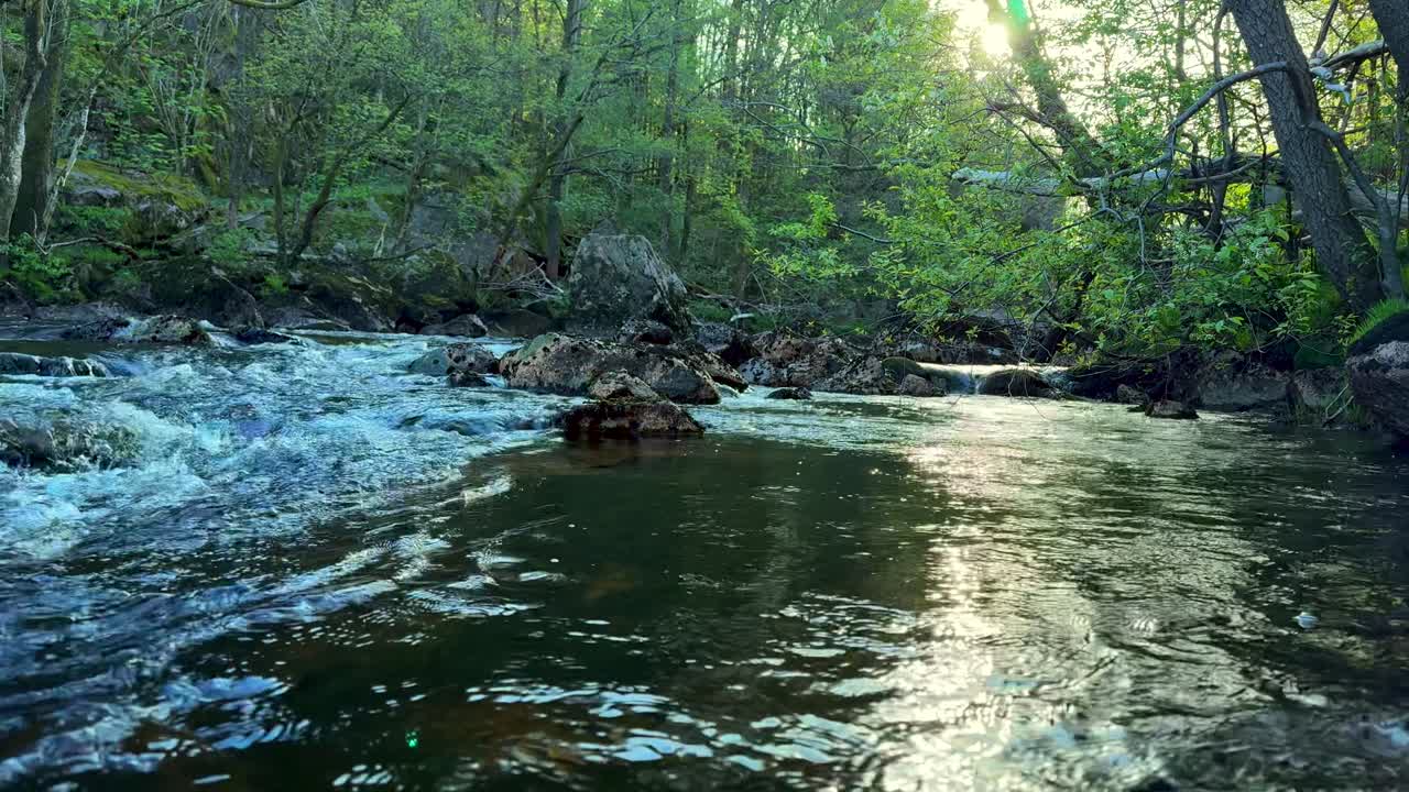 4K slowmotion-video af en smuk norsk flod om foråret