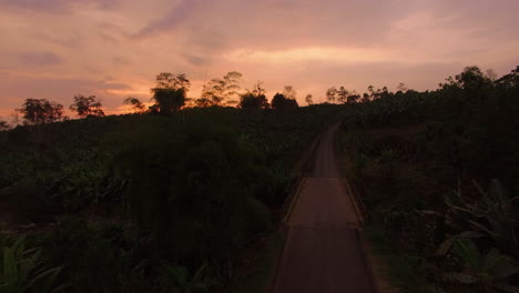 Un-Puente-De-Bosque-Tropical-Al-Atardecer