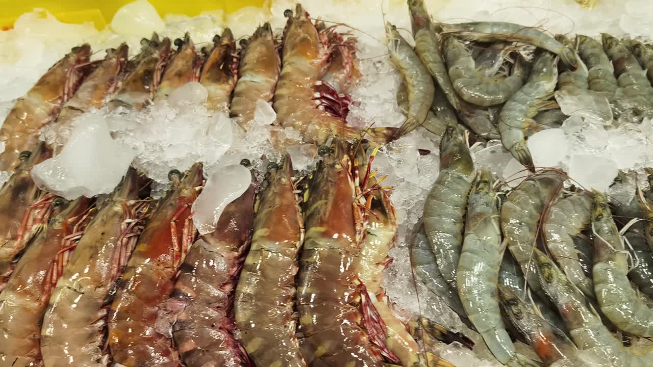 Fresh Shrimp and Prawns on Ice