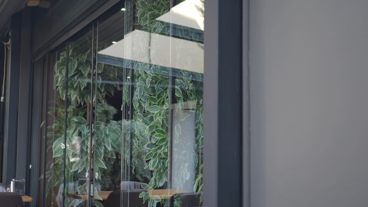 Modern Cafe with Glass Walls and Plants