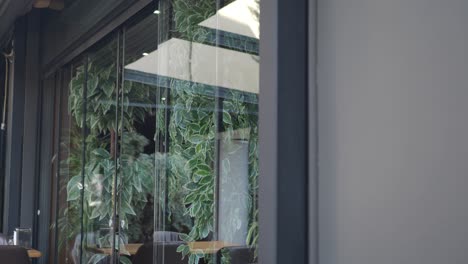 modern cafe with glass walls and plants