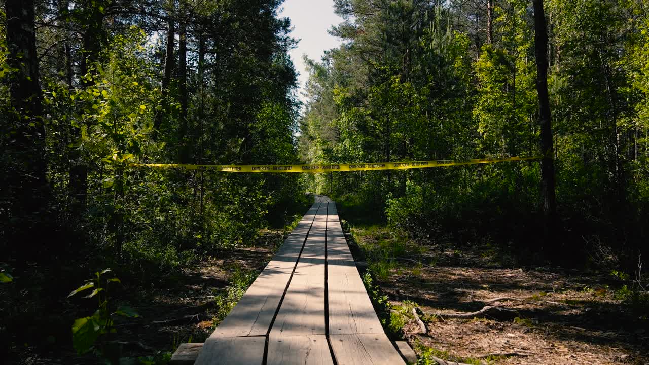 Footage gliding over a wooden boardwalk in a marshland bog wetland and flying through from underneath a yelloc Crime Scene Do Not Enter tape ribbon during a sunny day. Trees and plants on the sides