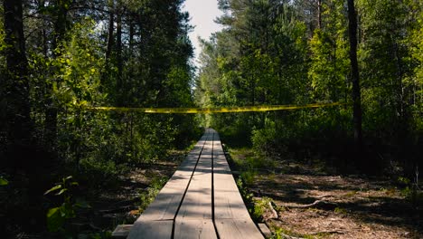 Footage gliding over a wooden boardwalk in a marshland bog wetland and flying through from underneath a yelloc Crime Scene Do Not Enter tape ribbon during a sunny day. Trees and plants on the sides