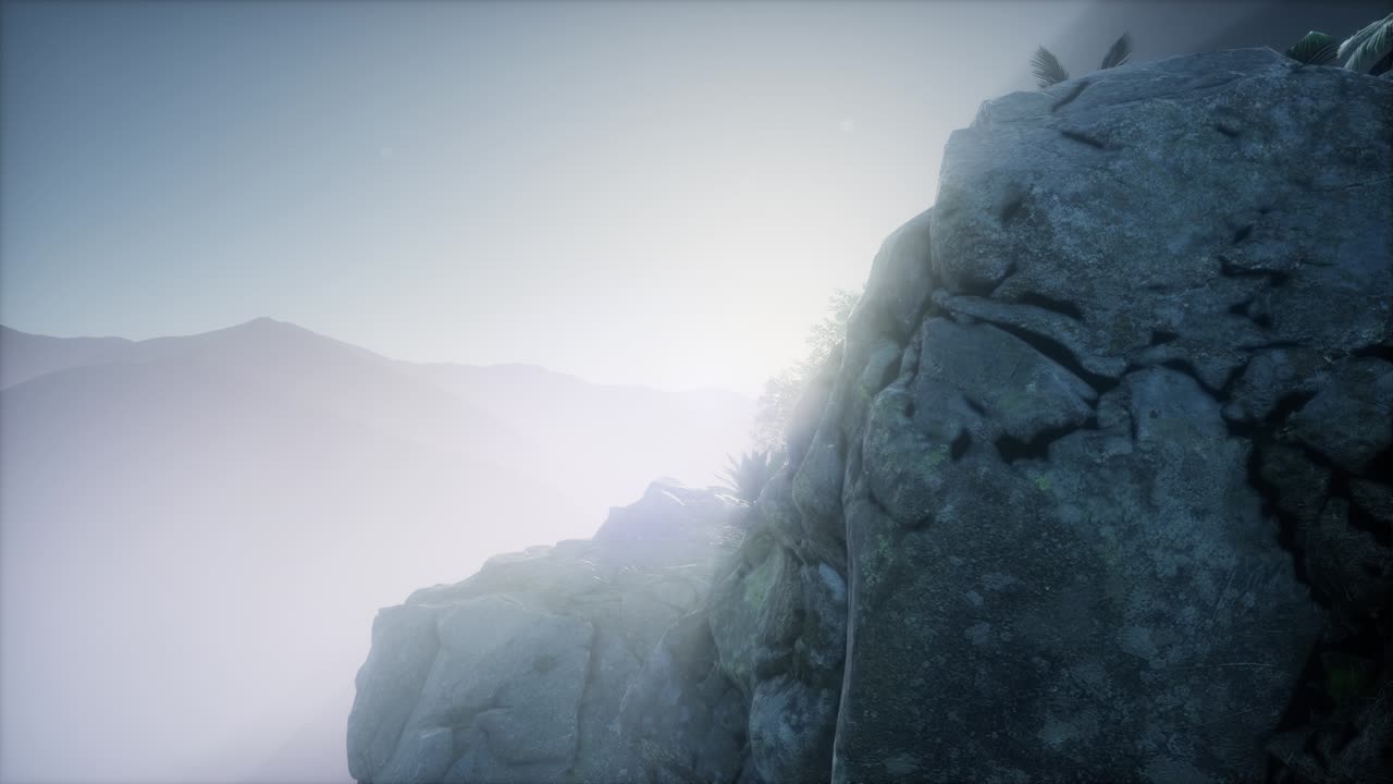 ⁇ 나무 를 가로지르는 해 가 지는 광선