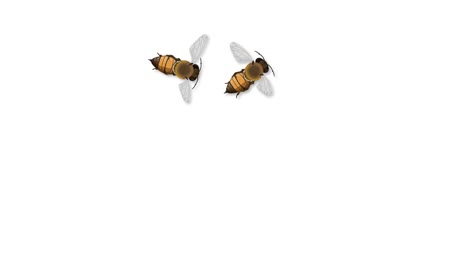 bees flying over white and green backgrounds