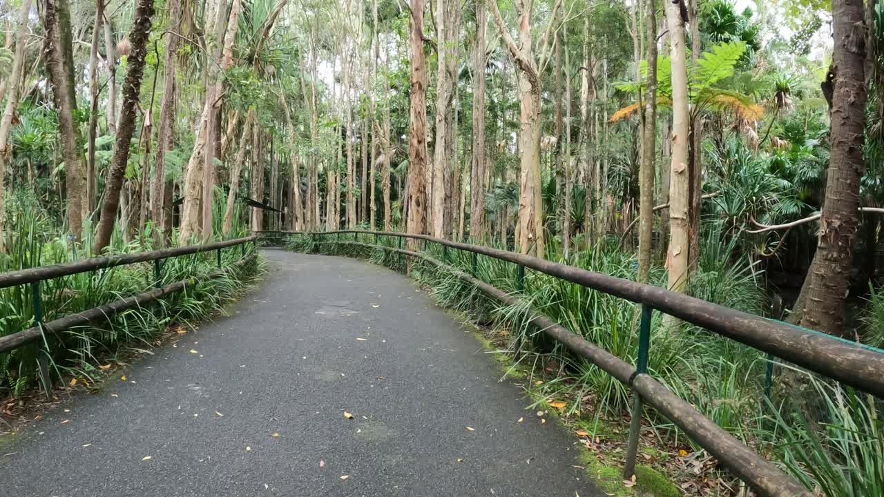 숲길을 가로질러 조용한 산책