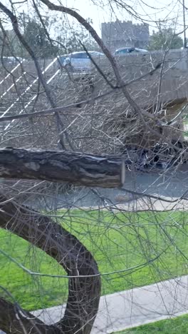 homeless people under a bridge in a park
