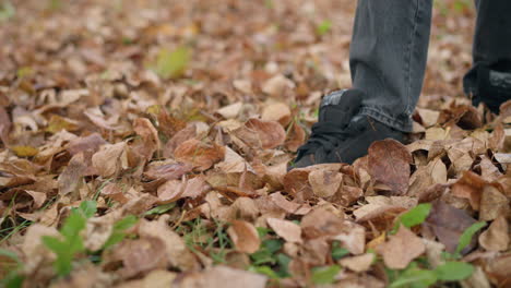 lower angle view of someone walking and scattering dry autumn foliage with leg, showcasing playful interaction with fallen leaves on forest floor during fall season