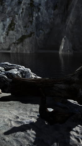 rocky shoreline with fallen log and calm water