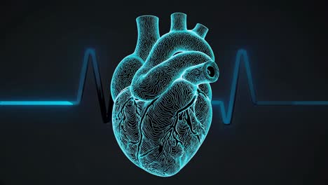 3d model of a human heart with ekg