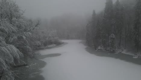 extreme frozen flora of elblag poland harsh winters effect