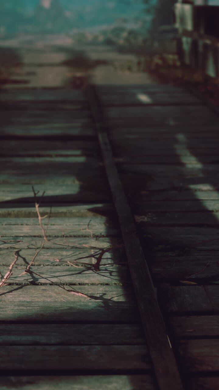 A wooden bridge with shadows of trees on it