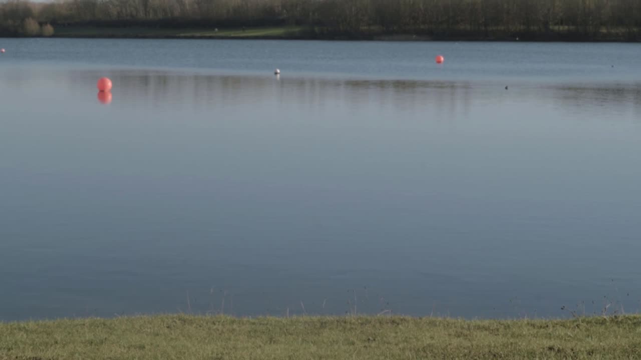 Landscape of blue lake with water buoys and birds