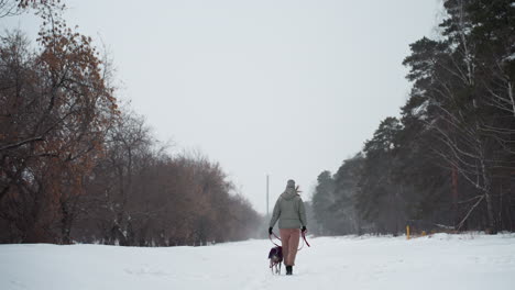 woman in warm grey jacket and winter hat stands on snowy forest path holding red leash, looking down at dog in purple coat during quiet overcast day, surrounded by leafless and pine trees