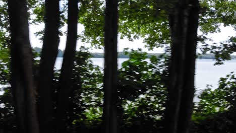 View-of-Lake-Jezioro-Gwiazdy-seen-behind-trees-in-Kaszuby,-Pomeranian-Voivodeship,-Poland