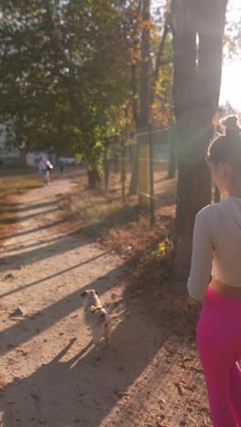 woman walking her dog in a park at sunset