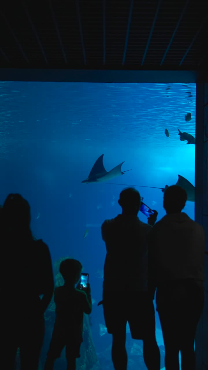 People observing marine life in a large aquarium