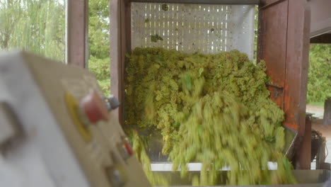 Grapes in a Machine
