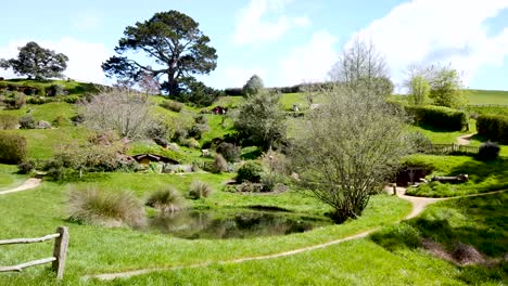 new zealand - establishing shot of tourism location of hobbiton movie set