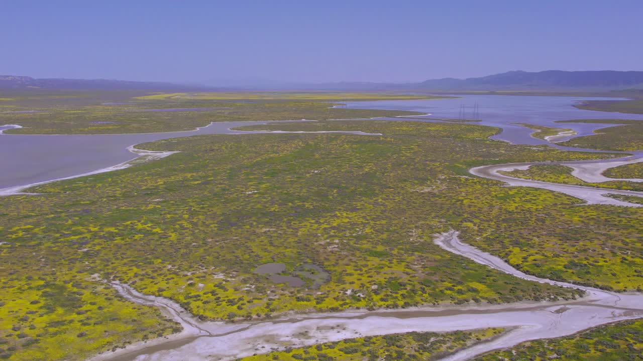 Aerial Bird's Eye View of Carrizo Plain in California During the Superbloom