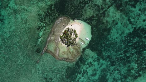 aerial drone shot of guyam island in siargao, philippines, showcasing a pristine white sand beach, clear turquoise waters, and lush tropical scenery, perfect for nature or travel themed projects