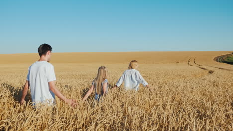 family with a child walks on a wheat field