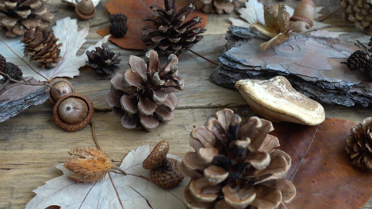 Autumn still life on a wooden vintage board.
