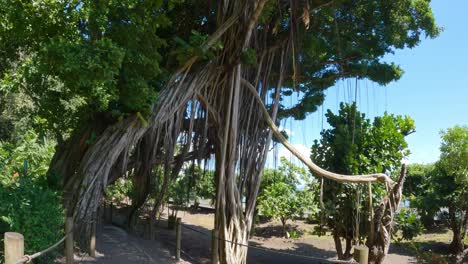 Parque-Grottes-De-Mara&#39;a-En-Tahití-Interesantes-Cuevas-Y-Elementos-Acuáticos-En-La-Isla-Del-Pacífico-Sur-De-Tahití-En-La-Polinesia-Francesa