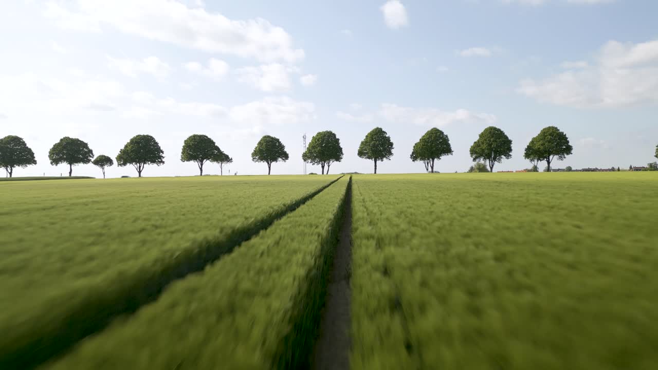 Aerial drone backward moving shot over a narrow path surrounded by green farmlands, leading to a road in Brunswick, Germany at daytime