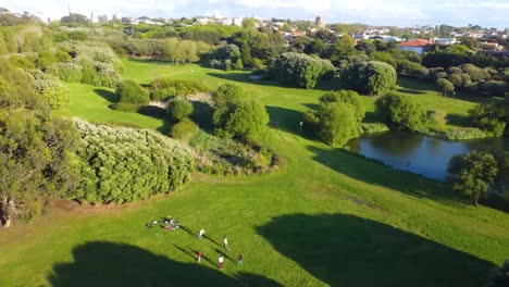 drone view porto city park