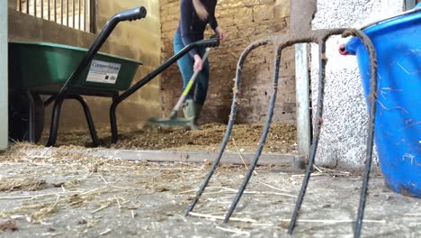 Girl-working-in-the-stables-using-pitchfork