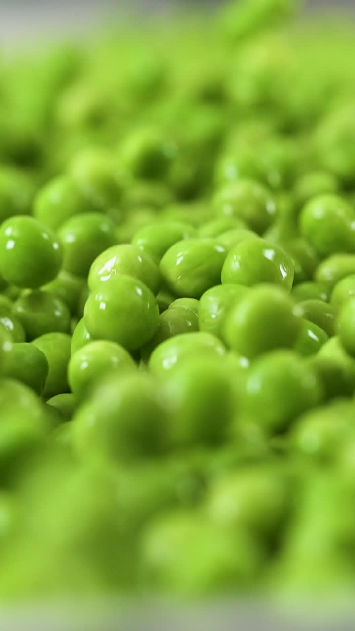Green Peas tumbling in slow motion in a Vertical close up shot