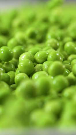 Green-Peas-tumbling-in-slow-motion-in-a-Vertical-close-up-shot