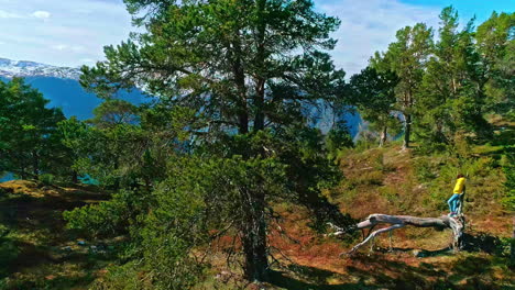 Mujer-De-Pie-Sobre-Un-árbol-Muerto-Caído-Admirando-El-Pintoresco-Fiordo-De-Sognefjord-En-Noruega