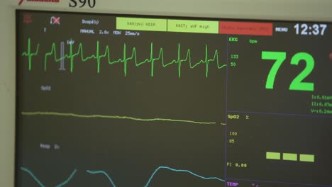 heart monitor measuring vital signs